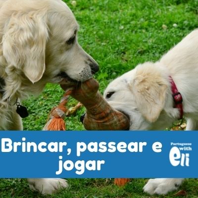 Brincar, Jogar e Passear: Nossa Língua Como Ela É