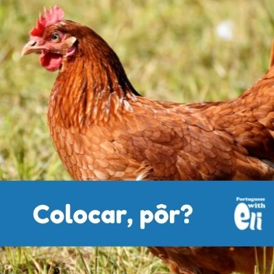 Botar, colocar, meter e pôr. Nossa língua como ela é