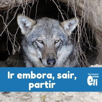 Sair, Partir, Ir Embora: Nossa Língua como Ela É